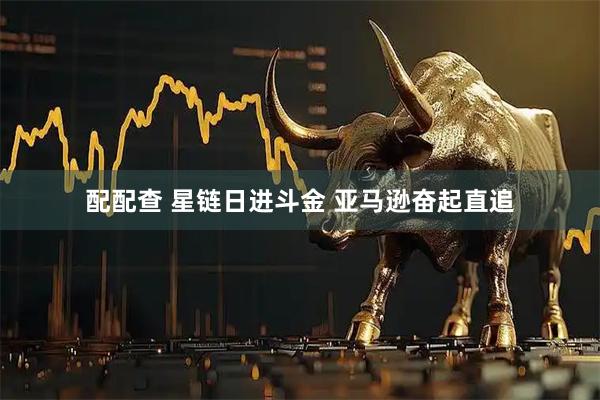 配配查 星链日进斗金 亚马逊奋起直追