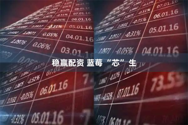 稳赢配资 蓝莓 “芯” 生
