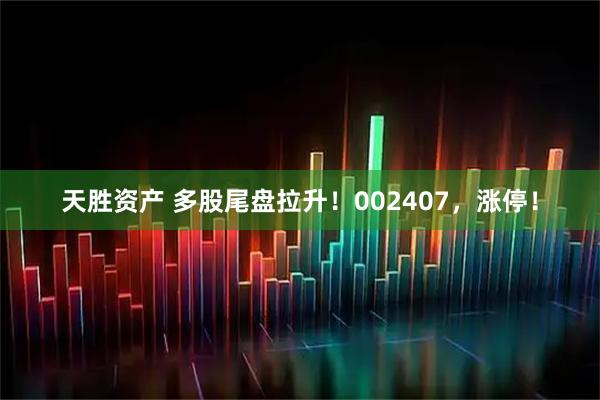 天胜资产 多股尾盘拉升！002407，涨停！