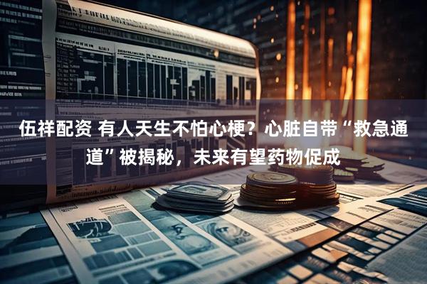 伍祥配资 有人天生不怕心梗？心脏自带“救急通道”被揭秘，未来有望药物促成