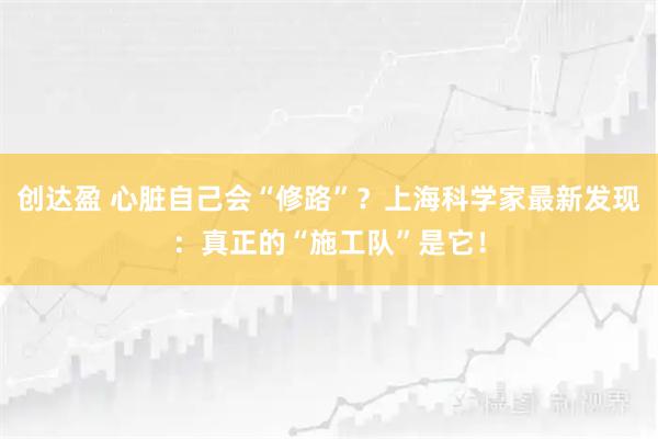 创达盈 心脏自己会“修路”？上海科学家最新发现：真正的“施工队”是它！
