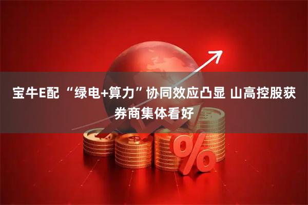 宝牛E配 “绿电+算力”协同效应凸显 山高控股获券商集体看好